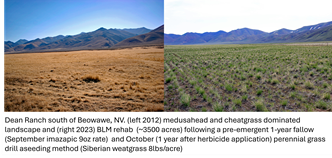 /ARSUserFiles/20600500/RangelandRehabiliatationLab/2024 range rehab files/Dean Ranch Before and After II.png